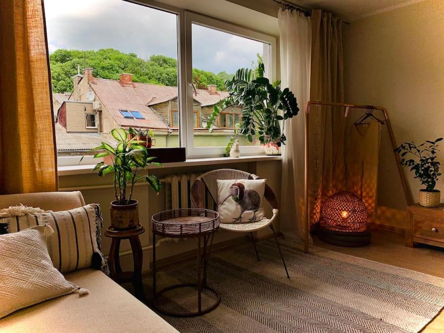 Three Bedroom With Two Terraces For 7People+Baby Kaunas Exterior foto