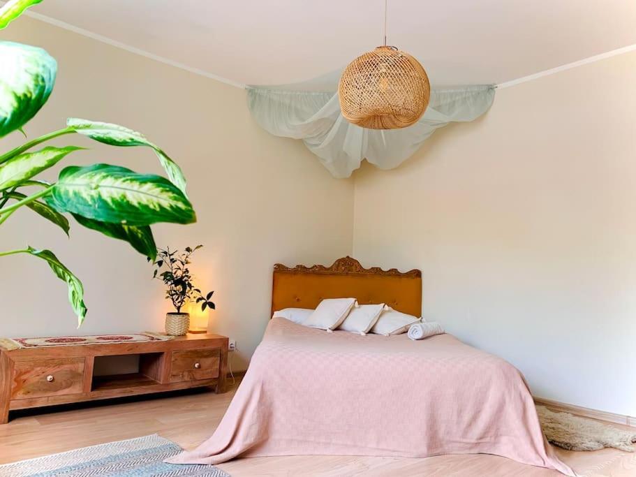 Three Bedroom With Two Terraces For 7People+Baby Kaunas Exterior foto