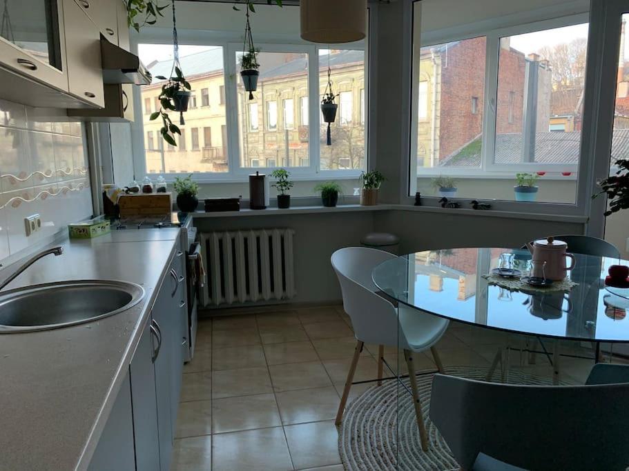 Three Bedroom With Two Terraces For 7People+Baby Kaunas Exterior foto